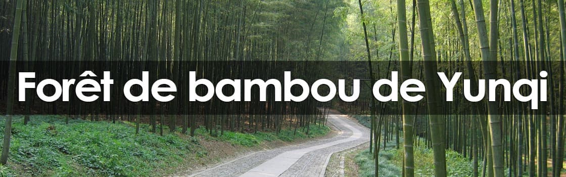 Foresta di Bambù di Yunqi